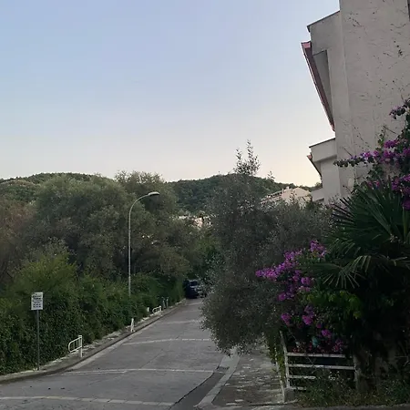 Main Rezidenca